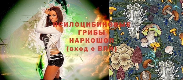 винт Баксан