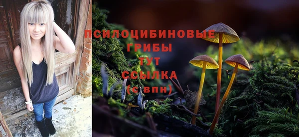 винт Баксан