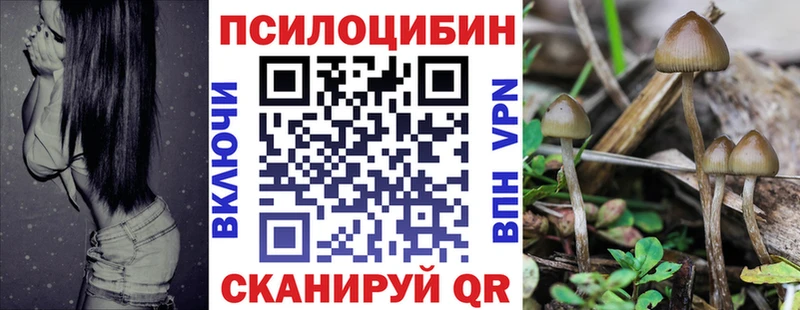 Галлюциногенные грибы Magic Shrooms наркотики Верея
