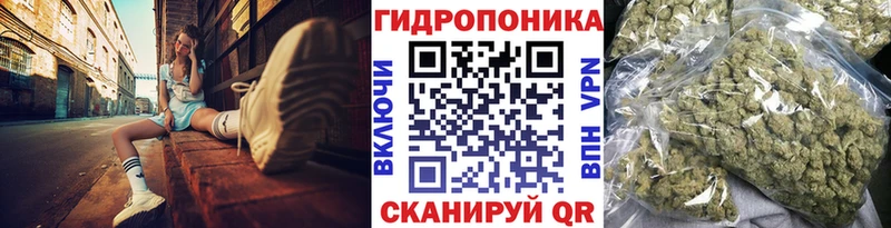 Бошки Шишки конопля  ссылка на мегу как зайти  Верея 